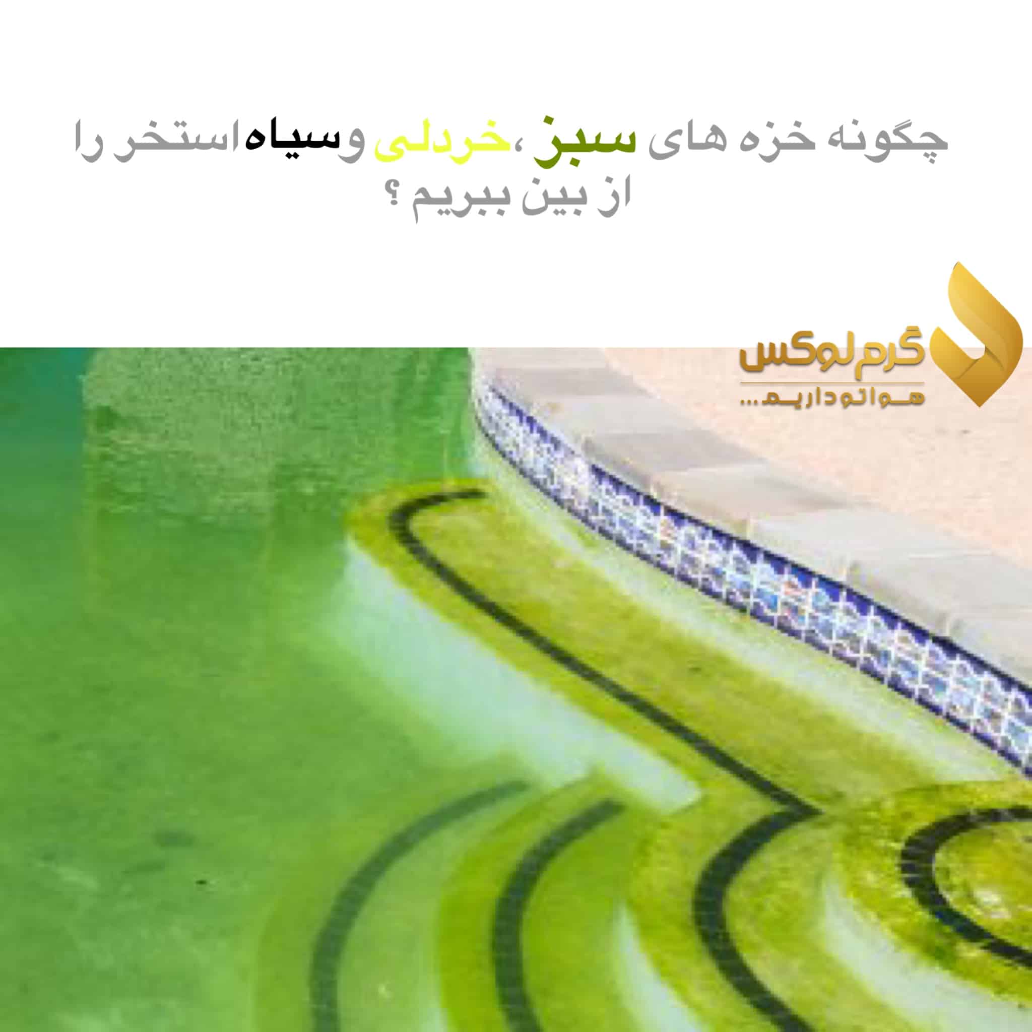 چطور خزه های استخر را از بین ببریم ؟
