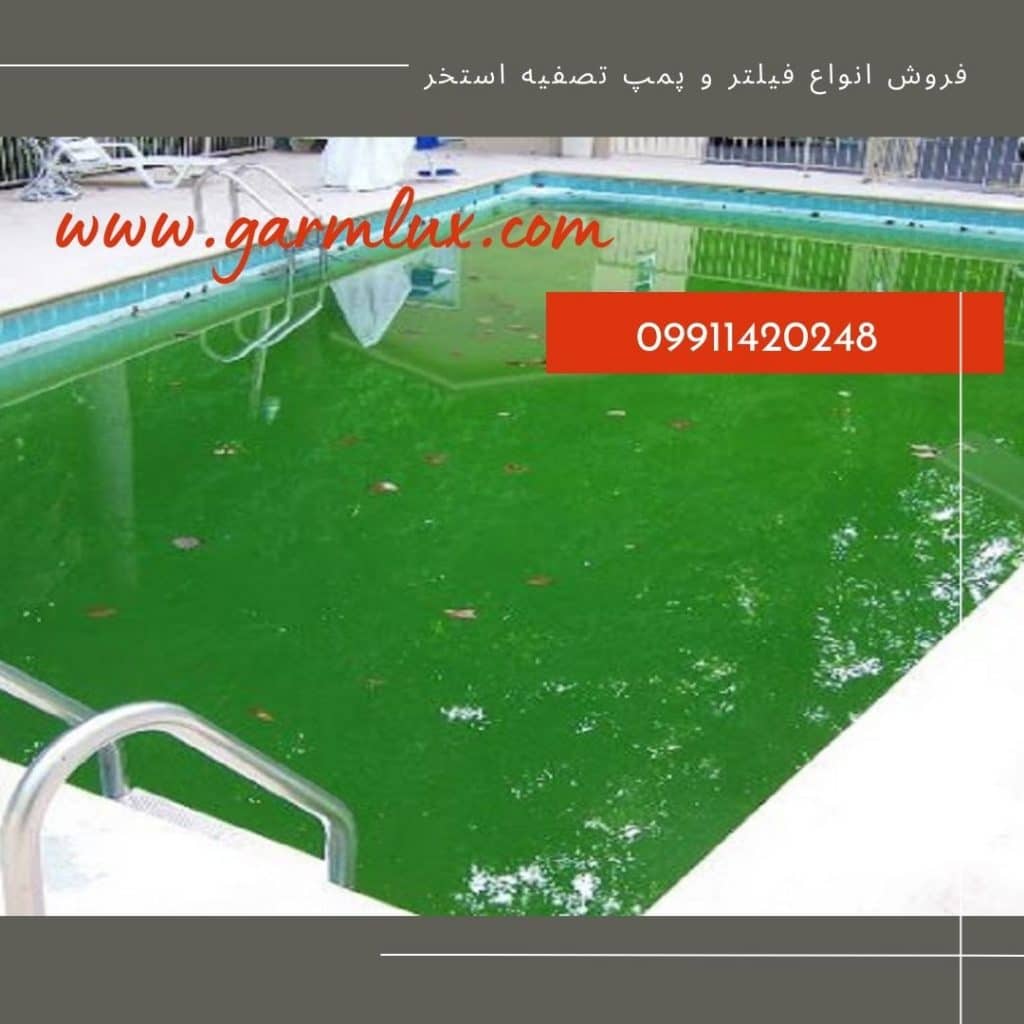 چگونه آب استخر را تمیز کنیم