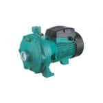 پمپ دو پروانه 4 اسب لئو 2ACM300H