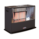 بخاری گازی آبسال تابشی ۴۰۵